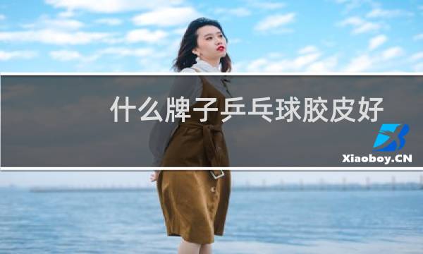 什么牌子乒乓球胶皮好图片