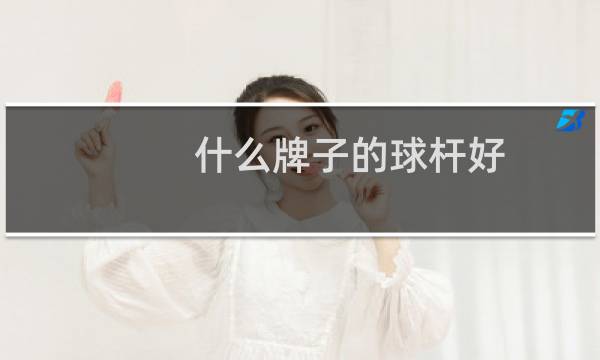 什么牌子的球杆好图片