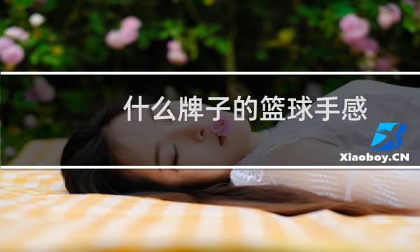 什么牌子的篮球手感图片