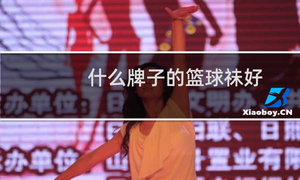 什么牌子的篮球祙好图片