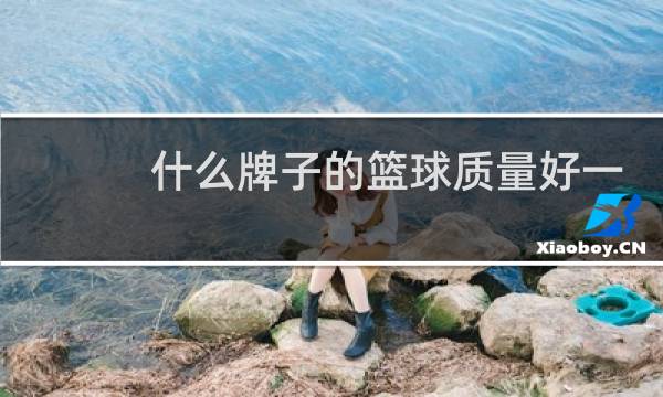 什么牌子的篮球质量好一点图片
