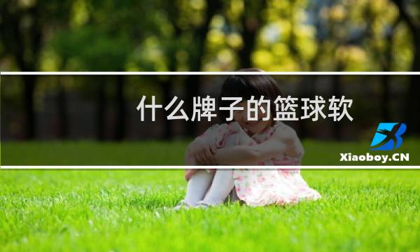 什么牌子的篮球软图片