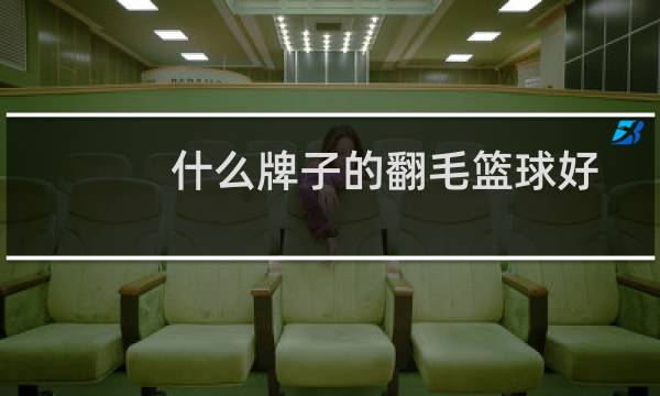 什么牌子的翻毛篮球好图片