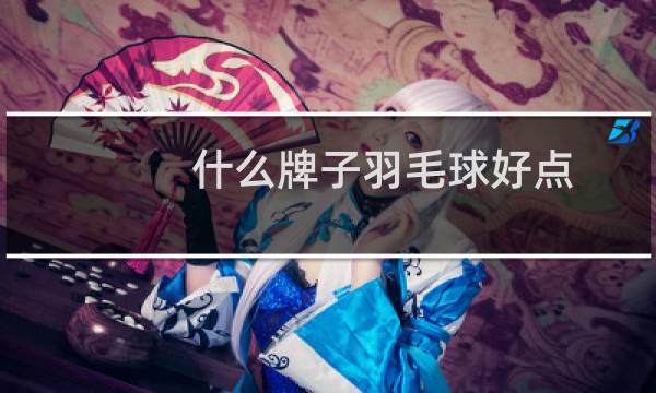 什么牌子羽毛球好点图片