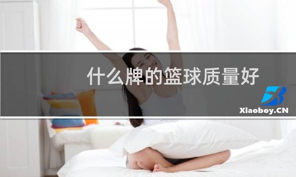 什么牌的篮球质量好图片