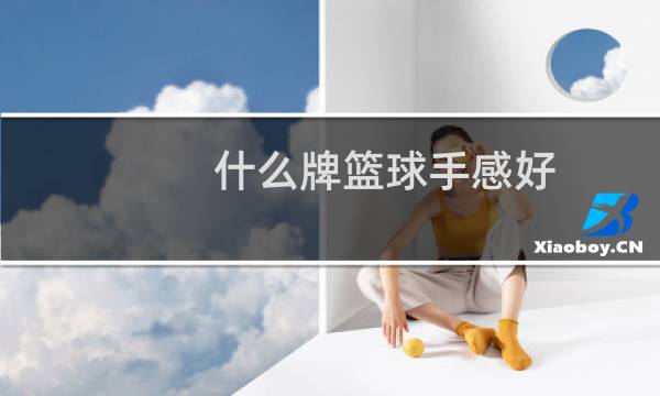 什么牌篮球手感好图片