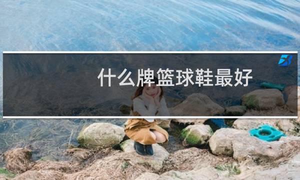 什么牌篮球鞋最好图片