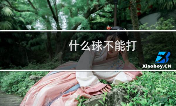 什么球不能打图片