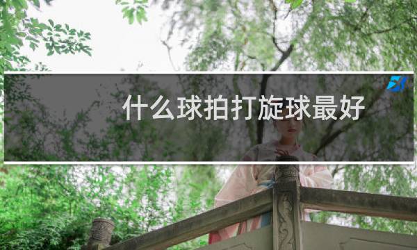 什么球拍打旋球最好图片