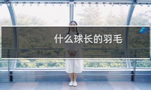 什么球长的羽毛图片