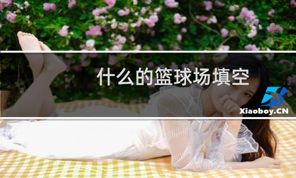 什么的篮球场填空图片
