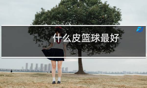 什么皮篮球最好图片
