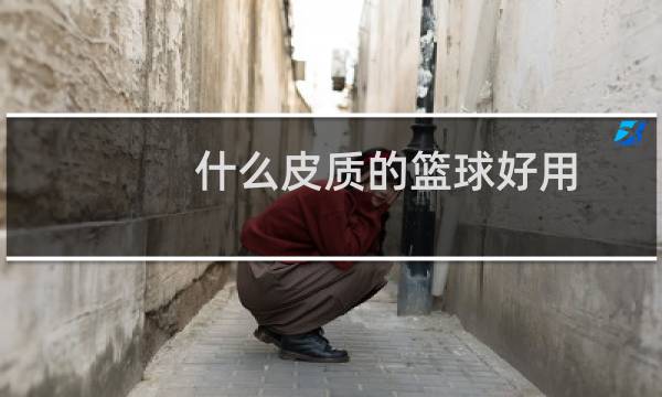 什么皮质的篮球好用图片