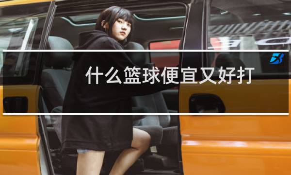 什么篮球便宜又好打图片