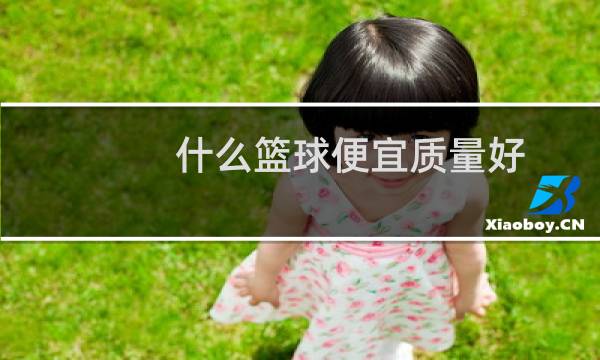 什么篮球便宜质量好图片