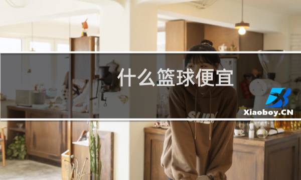 什么篮球便宜图片