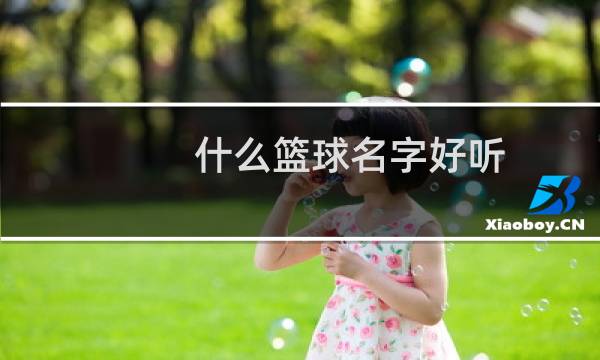 什么篮球名字好听图片