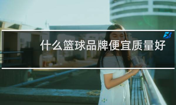 什么篮球品牌便宜质量好图片
