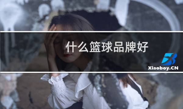 什么篮球品牌好图片