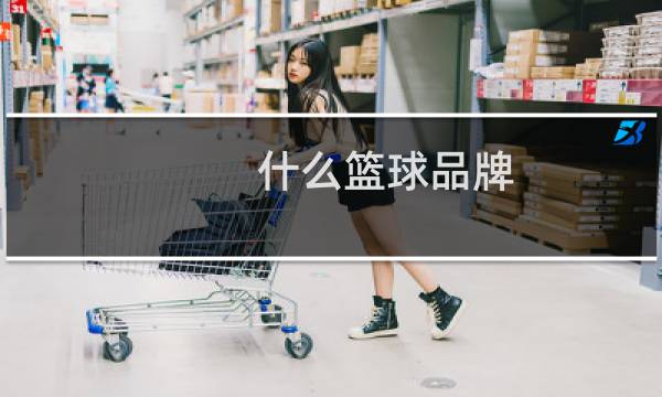 什么篮球品牌图片