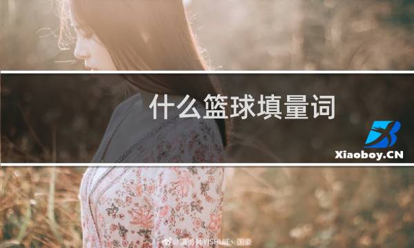什么篮球填量词图片