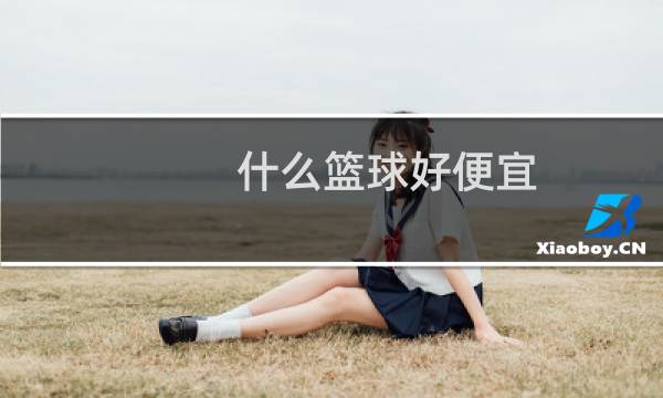 什么篮球好便宜图片