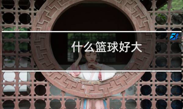 什么篮球好大图片