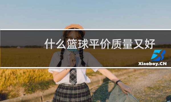 什么篮球平价质量又好图片