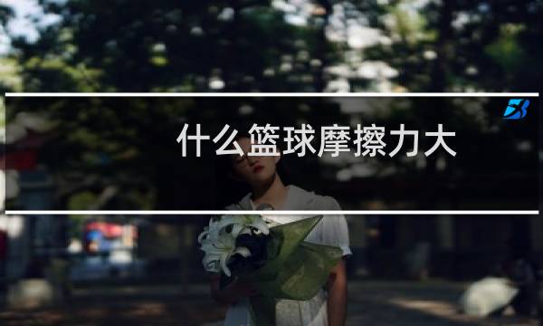 什么篮球摩擦力大图片
