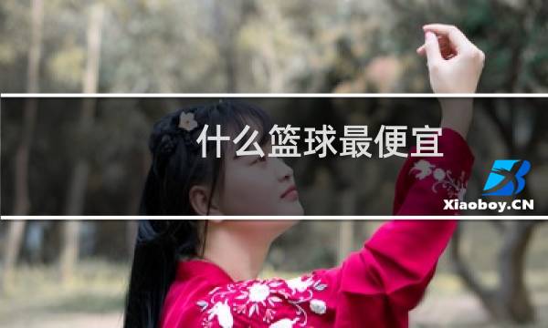 什么篮球最便宜图片