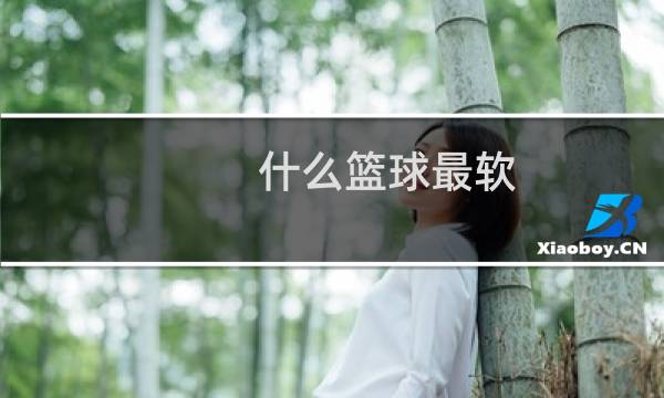 什么篮球最软图片