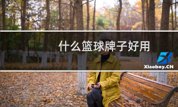 什么篮球牌子好用图片