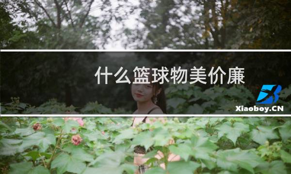 什么篮球物美价廉图片