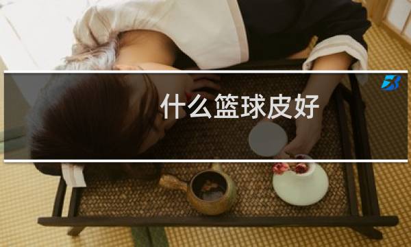 什么篮球皮好图片