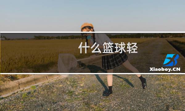 什么篮球轻图片