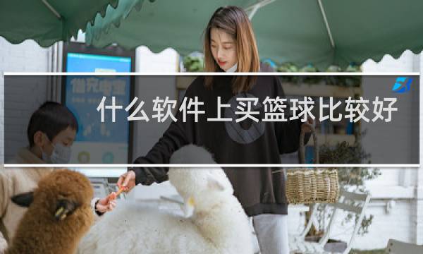 什么软件上买篮球比较好图片
