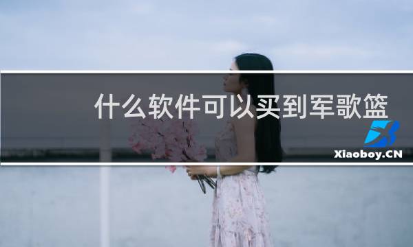 什么软件可以买到军歌篮球正品图片