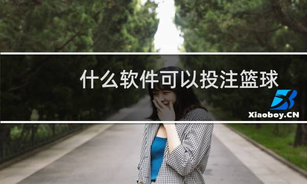 什么软件可以投注篮球图片