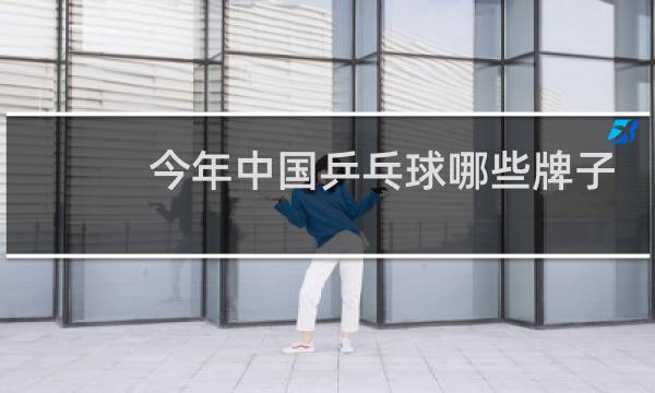 今年中国乒乓球哪些牌子图片