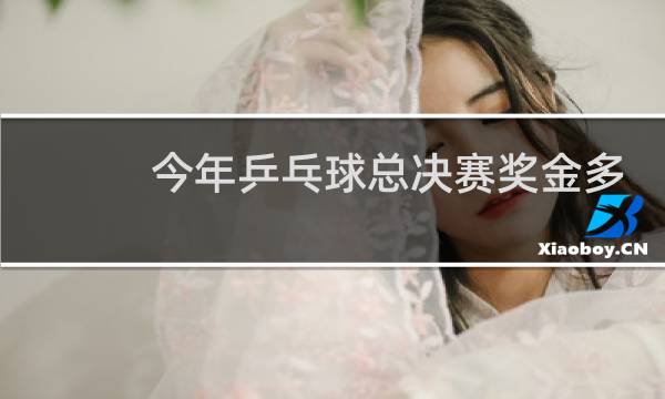 今年乒乓球总决赛奖金多少图片