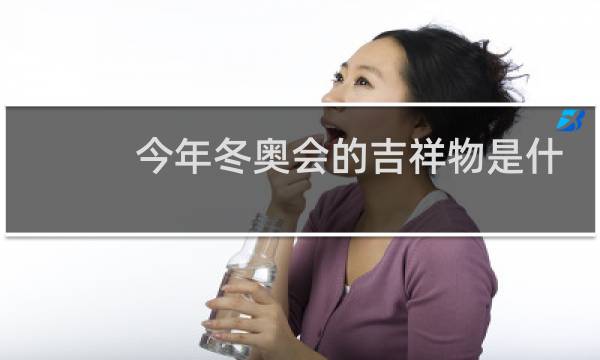 今年冬奥会的吉祥物是什么图片