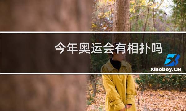 今年奥运会有相扑吗图片