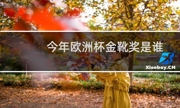 今年欧洲杯金靴奖是谁图片