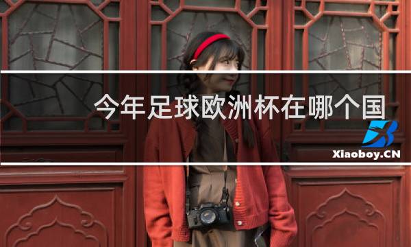 今年足球欧洲杯在哪个国家举行图片