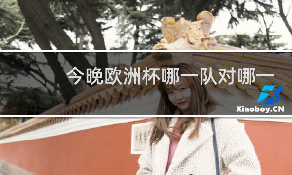 今晚欧洲杯哪一队对哪一队图片