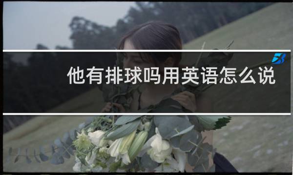 他有排球吗用英语怎么说图片