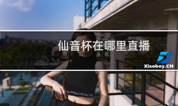 仙音杯在哪里直播图片