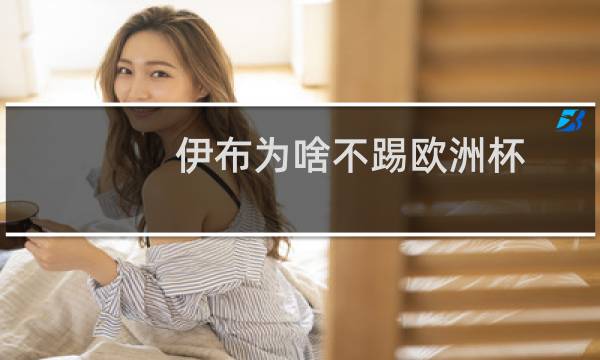 伊布为啥不踢欧洲杯图片