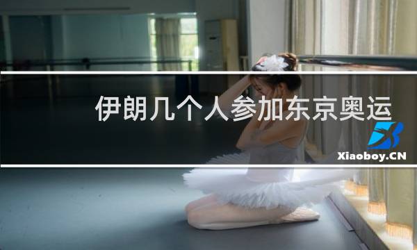伊朗几个人参加东京奥运会图片