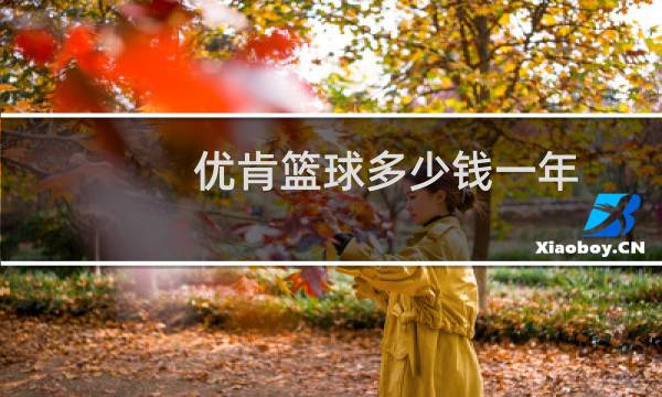 优肯篮球多少钱一年图片